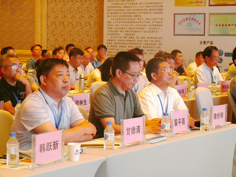 第四届全国低品位矿高效开发利用技术交流会